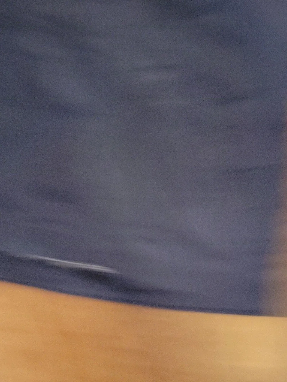 The North Face Navy Blue Hooded Jacket